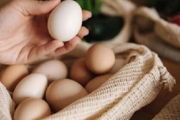 நாட்டில் 10 நாட்களுக்குள் மீண்டும் முட்டை இறக்குமதி