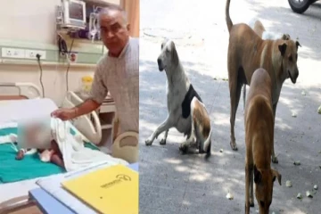 கடித்துக் குதறிய தெருநாய் - பறிபோன பச்சிளம் குழந்தையின் உயிர்!