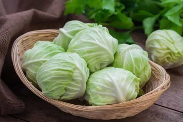 மக்கள் இந்த காய்கறிகளை எல்லாம் கவனமாக சாப்பிட வேண்டும்! | People Eat All These Vegetables Carefully Tips