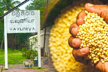 வவுனியா விவசாயிகளை ஏமாற்றிய தனியார் நிறுவனம்: பொலிஸார் தொடர்ந்தும் அசமந்தம்