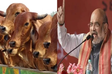 பசுவதை செய்தால் தலைகீழாக தொங்கவிடுவோம்; மோடியின் உத்தரவாதம் - அமித்ஷா ஆவேசம்!