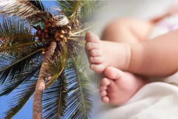 தேங்காயால் இரண்டு வயது குழந்தைக்கு நேர்ந்த கதி