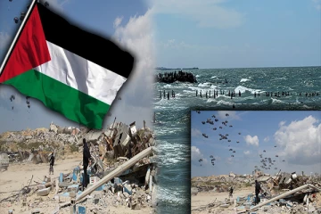 காசாவில் பட்டினிக் கொலை! உணவுக்காக போராடி சாகும் மக்கள்