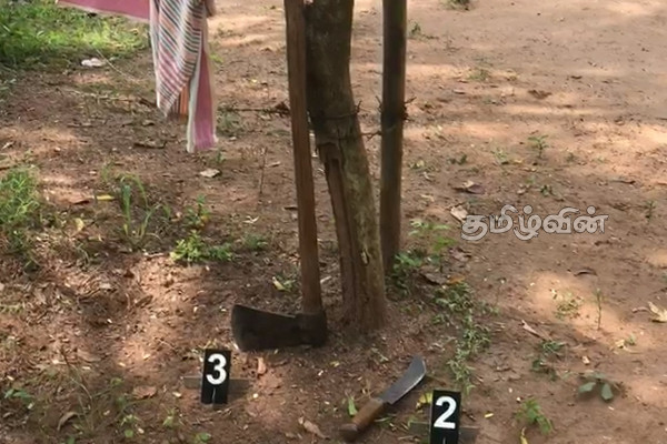 வவுனியாவில் கணவன் - மனைவி வாக்குவாதத்தில் மாமியார் பலி (Video) | Mother In Law Killed In Husband Wife Dispute