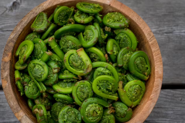 உலகிலேயே அதிக சக்தி கொண்ட காய்கறி.., எது தெரியுமா? | World S Most Powerful Vegetable In Tamil