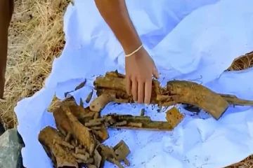 கைவிடப்பட்ட பொதியில் பொலிசாருக்கு காத்திருந்த அதிர்ச்சி!