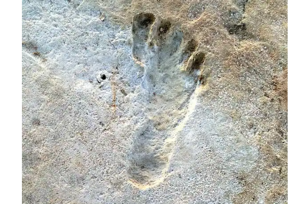 23,000 ஆண்டு பழமையான மனிதனின் கால் தடங்கள் கண்டுபிடிப்பு! ஆச்சரியத் தகவல் | World Viral News