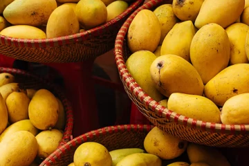 2 மாதம் தான்.. 1800 கிலோ மாம்பழங்கள் - ஆன்லைனிலேயே விற்பனை செய்த விவசாயி!