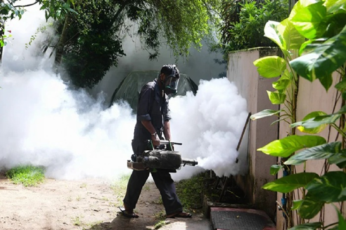 தென் மாகாணத்தை அச்சுறுத்தும் டெங்கு | Severe Dengue Risk In Southern Province