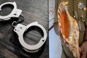 அரிய வகை வலம்புரி சங்குடன் இளைஞர் கைது