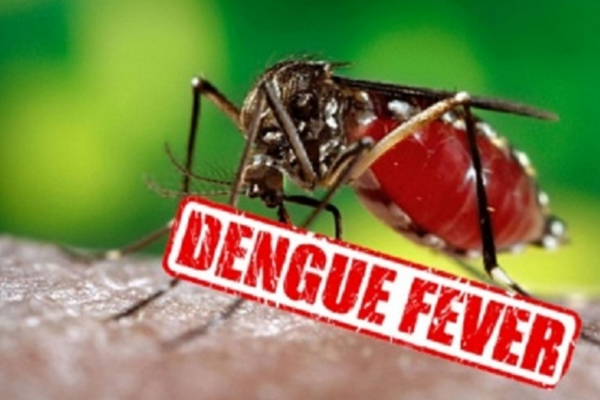 யாழ் குடாநாட்டு மக்களுக்கு எச்சரிக்கை தகவல் | Increase In Dengue In Jaffna District