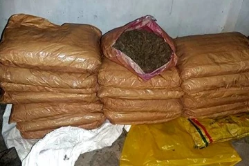 யாழில் கஞ்சாவுடன் இருவர் கைது(Photos)