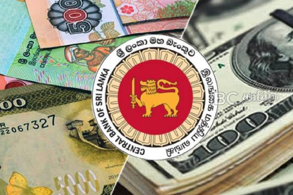 அதிரடி மாற்றம் கண்ட டொலர் பெறுமதி | Usd Lkr Forecast Will Usd Lkr Go Up Or Down