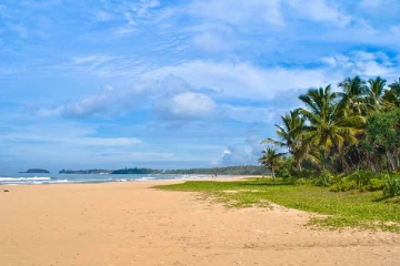 පවතින උණුසුම් කාලගුණ තත්වය ගැන කාලගුණවිද්‍යා දෙපාර්තමේන්තුවෙන් දැනුම් දීමක්