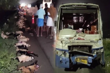 நொடிப் பொழுதில் மோதிய அரசுப்பேருந்து - 100 க்கும் மேற்பட்ட ஆடுகள் பலி