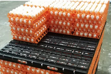 ආනයනික දෙවන බිත්තර තොගයත් අද බේකරි නිෂ්පාදකයින්ට