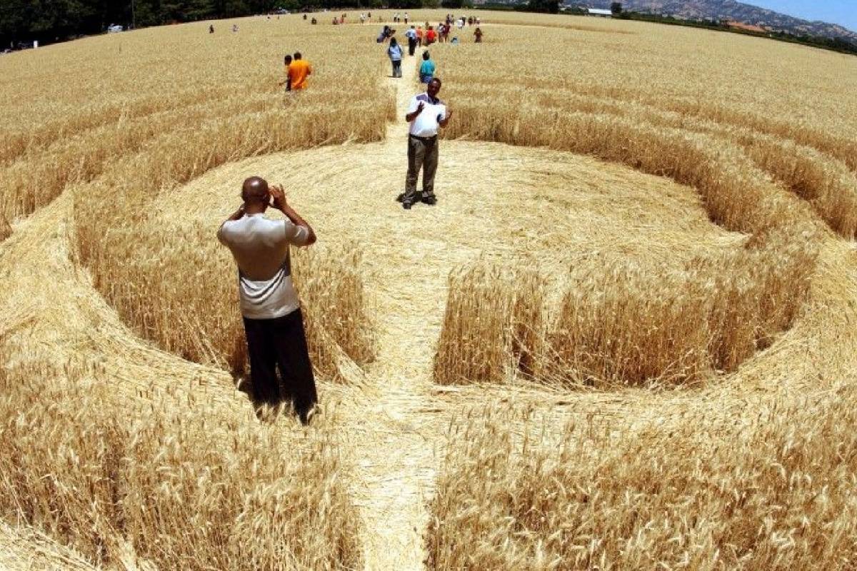 வேற்றுக்கிரகவாசிகள் மேற்கொண்ட Genetic Harvest - மனிதர்களை சந்திக்காதது ஏன்? | Did Aliens Try Genetic Harvest Explained வேற்றுக்கிரகவாசிகள் மேற்கொண்ட Genetic Harvest - மனிதர்களை சந்திக்காதது ஏன்? | Did Aliens Try Genetic Harvest Explained
