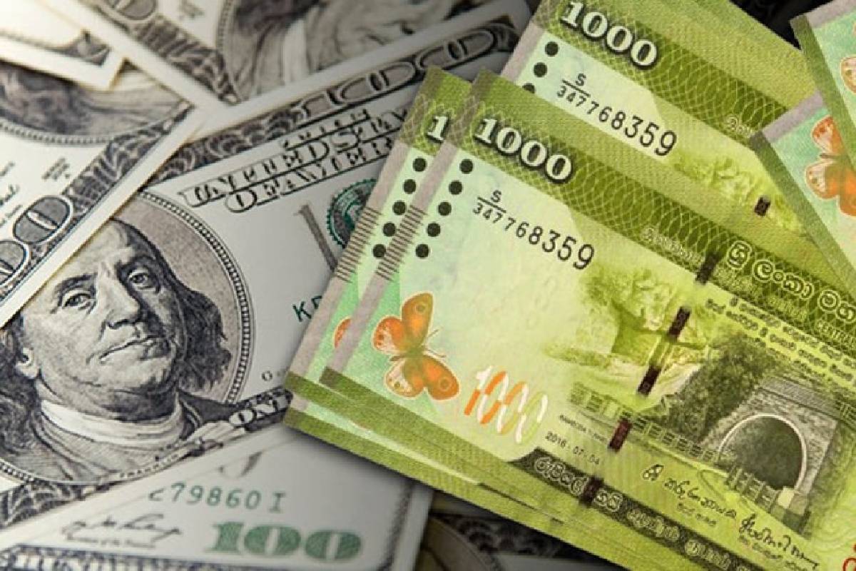 டொலருக்கு எதிராக ரூபாவின் பெறுமதி சற்று உயர்வு | Dollar Rate Today Rupee Gains Slightly Against Usd