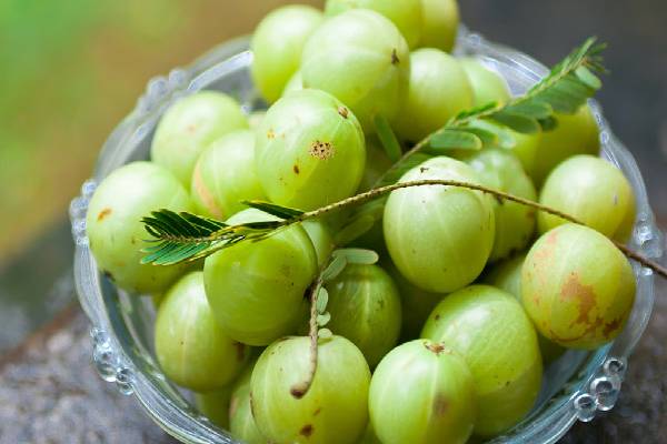 ஆரோக்கிய நன்மைகளை அள்ளிக் கொடுக்கும் தேன் நெல்லிக்காய்... எப்படி செய்வது? | How To Prepare Honey Amla And Health Benefits