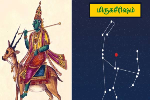 இந்த நட்சத்திரத்தில் பிறந்தவரா நீங்க? 40 வயதுக்கு பின் ராஜ வாழ்க்கை உறுதி! | These Nakshatras Men Are Going To Rich Atrer 40