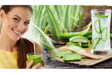 வெறும் வயிற்றில் கற்றாழை ஜூஸ் குடித்து வந்தால் எவ்வளவு நன்மைகள் கிடைக்கும்ன்னு தெரியுமா?