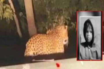 தாய் கண்முன்னே.. சிறுமியை கவ்வி சென்ற சிறுத்தை - தேடுதல் பணியில் அதிர்ச்சி!