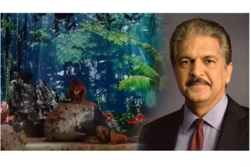 வெள்ளிக்கிழமை காட்டில்... Wait for the last one… - பிரிமிக்க வைக்கும் வீடியோவை பகிர்ந்த ஆனந்த் மகேந்திரா...!