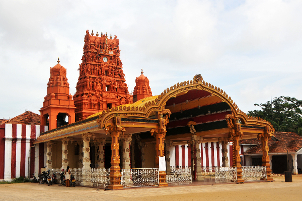 நல்லூர் பிரதேச சபை தவிசாளர் முன்னெடுத்துள்ள அதிரடி நடவடிக்கை! | Action Against Throw Waste In Nallur Areas