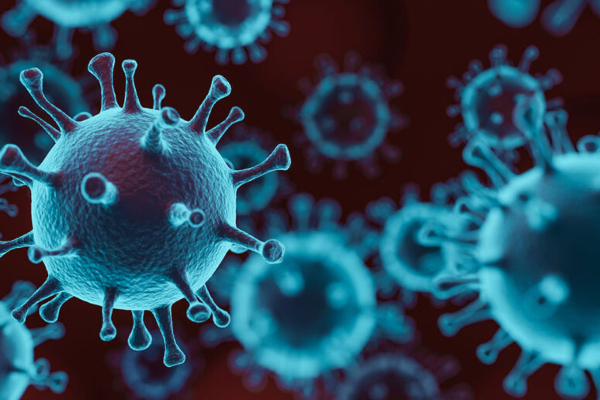 இந்தியாவில் உருவான கொரோனா பிரிட்டன் வகையை விட ஆபத்தானது - ஆய்வில் அதிர்ச்சி தகவல் | Corona Originating India Dangerous British இந்தியாவில் உருவான கொரோனா பிரிட்டன் வகையை விட ஆபத்தானது - ஆய்வில் அதிர்ச்சி தகவல் | Corona Originating India Dangerous British