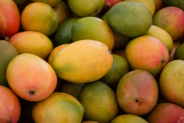 சர்க்கரை நோயாளிகள் மாம்பழம் சாப்பிடலாமா? சாப்பிட்டால்  என்ன ஆகும் தெரியுமா?