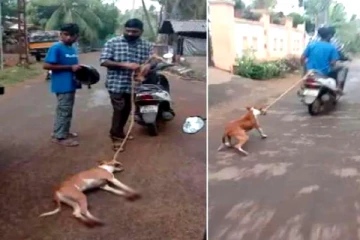 வளர்ப்பு நாயை இரத்தம் சொட்டச் சொட்ட ஸ்கூட்டரில் கட்டி இழுத்துச் சென்ற கொடூரம்! கேரளாவில் பரபரப்பு