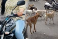 வீதியில் வங்கி அதிகாரியான பெண் செய்த மோசமான செயல்; CCTV கேமராவில் பதிவான காட்சிகள்