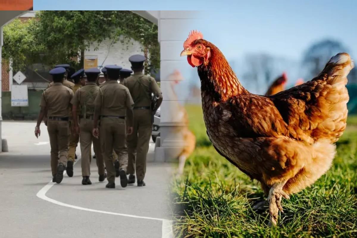 கோழியால் நேர்ந்த விபரீதம் - தந்தையை கூரிய ஆயுதத்தால் தாக்கிய மகன் | Son Attacked Father For Chicken கோழியால் நேர்ந்த விபரீதம் - தந்தையை கூரிய ஆயுதத்தால் தாக்கிய மகன் | Son Attacked Father For Chicken