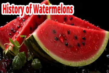 எந்த நாடு அதிக தர்பூசணிகளை உற்பத்தி செய்வதற்கு பிரபலமானது?