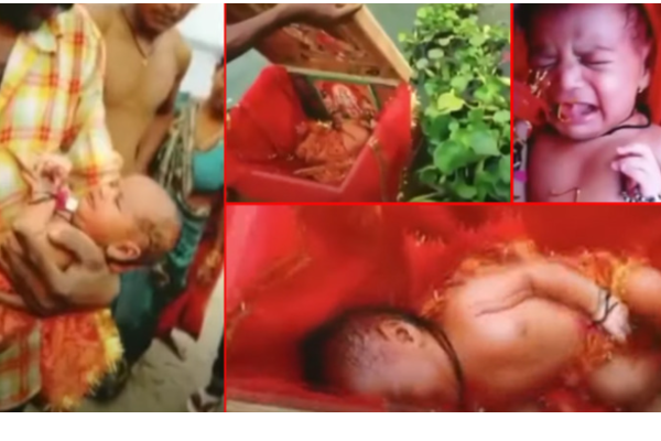 நடு காட்டில் கேட்ட அழுகுரல்! மரப்பெட்டியை திறந்தவருக்கு காத்திருந்த ஷாக்? ரஜினியின் ‘தளபதி’ பட பாணியில் நடந்த உண்மை சம்பவம் | Rajini Thalapathy Movie Connects With Real Baby