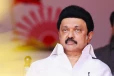 ஸ்டாலினின் தோல்வியை ஏற்காத முடியாத தீவிர தொண்டன் ; இறுதியில் செய்த விபரீதம்