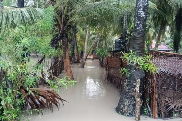 வெள்ளத்தில் தவிக்கும் மன்னார் - அவசர உதவிகள் கிடைக்கவில்லை - மக்கள் குற்றச்சாட்டு | Emergency Aid Not Received In Mannar Area