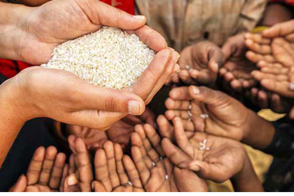சிறிலங்காவில் 50 வீதத்திற்கும் மேற்பட்ட குடும்பங்கள் உணவின்றி தவிப்பு - வெளியாகிய அறிக்கை! | 59 Percent Sl Households Food Insecure Report Out