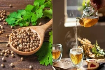 வெறும் வயிற்றில் கொத்தமல்லித் தண்ணீர் குடிப்பதால் என்னென்ன நன்மை?