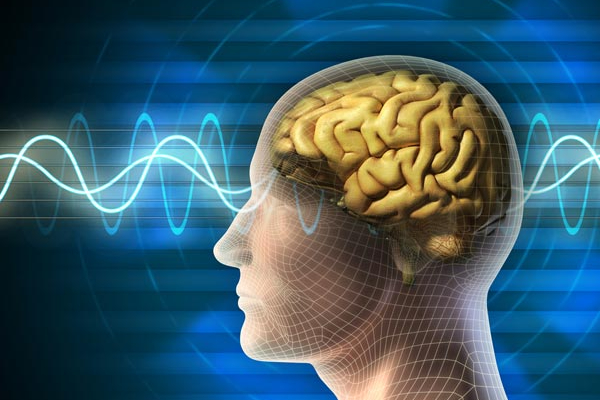 பழங்கள் அதிகமாக சாப்பிட்டால் என்ன ஆகும் தெரியுமா? அவசியம் அறிந்து கொள்ளுங்கள் | Do You Know What Happens If You Eat Too Much Fruit