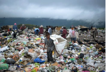 உலக அளவில் அதிகரிக்கும் பிளாஸ்டிக் பயன்பாடு: OECD அமைப்பின் புதிய அறிக்கை!