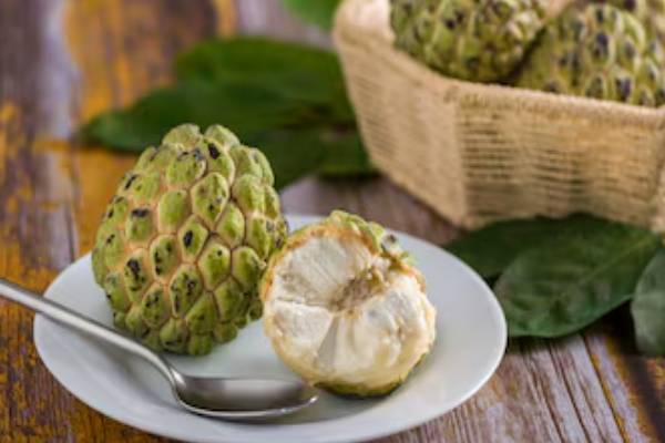 வயிற்று புண்களை தடம்தெரியாமல் ஆக்கும் பழம்.. உங்க வீட்டுல இருந்தால் நீங்களே அதிர்ஷ்டசாலி | Benefits Of Custard Apple Leaves வயிற்று புண்களை தடம்தெரியாமல் ஆக்கும் பழம்.. உங்க வீட்டுல இருந்தால் நீங்களே அதிர்ஷ்டசாலி | Benefits Of Custard Apple Leaves