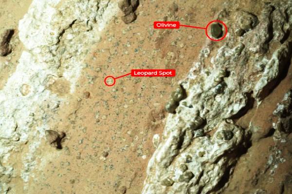 செவ்வாய் கிரகத்தில் உயிர்கள் இருந்தமைக்கான ஆதாரம்: நாசா வெளியிட்ட அறிவிப்பு | Nasa Finds Possible Life Signs On Mars