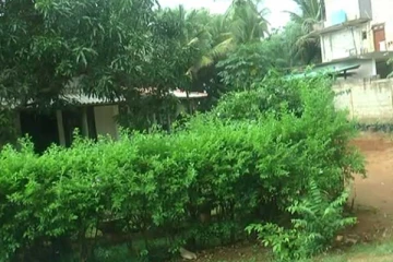 இலங்கையில் பயங்கரம்; 9 வயது சிறுவனை கத்தியால் குத்திய 14 வயது சிறுவன்!