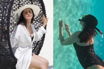 மாலத்தீவு பீச்சில் சுறாவுடன் நீச்சல் அடித்த நடிகை பிரணிதா!! வீடியோ..