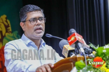 හොර බොරු කරන්නේ නෑ කිව්ව ආණ්ඩුව ආනයනයෙදී නීති කඩලා?