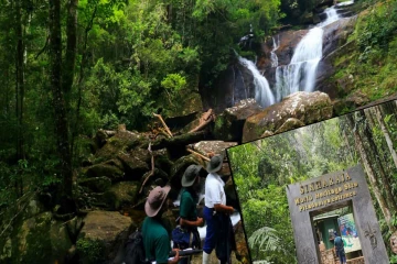 நாளை முதல் மூடப்படும் சிங்கராஜ வனம் ; மக்களுக்கு வெளியான அறிவிப்பு