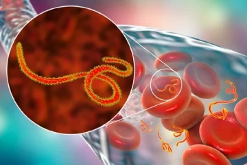 මාරාන්තික වෛරසය පෙර නොවූ විරූ මට්ටමකින් පැතිරෙයි - පැය 24ට මරණ 29ක් - මරු කටේ වැටුණු ලෝකය