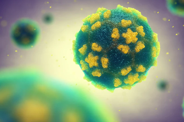 அமெரிக்காவில் கழிவுநீரில் போலியோ வைரஸ்! | Polio Virus In Sewage In America