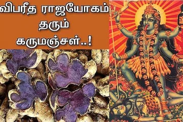 கருமஞ்சள் இருக்கும் இடத்தில் செல்வத்திற்கு பஞ்சம் இருக்காது